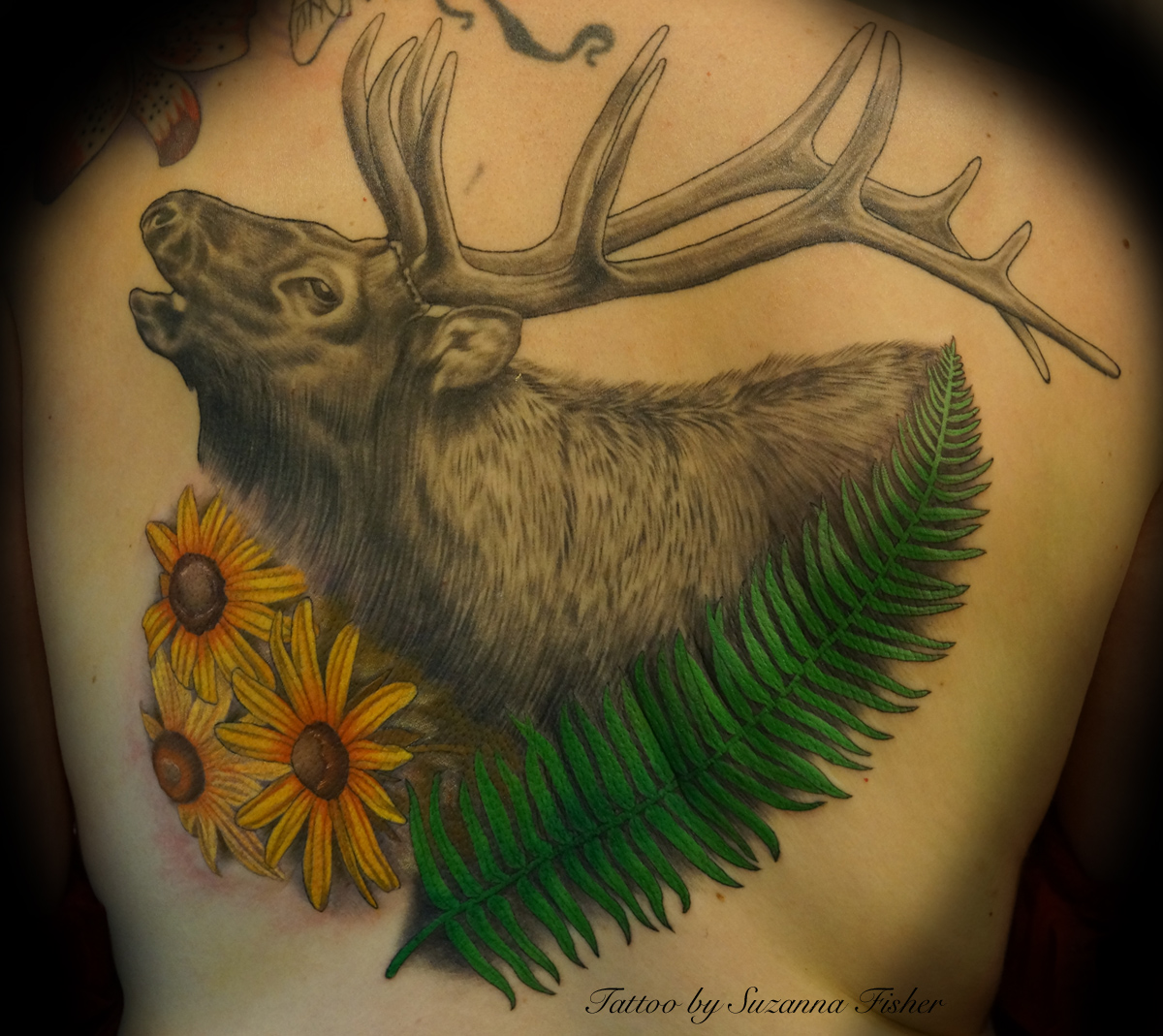Elk Antler Tattoos Related Keywords & Suggestions, Elk Antler Tattoos. ...