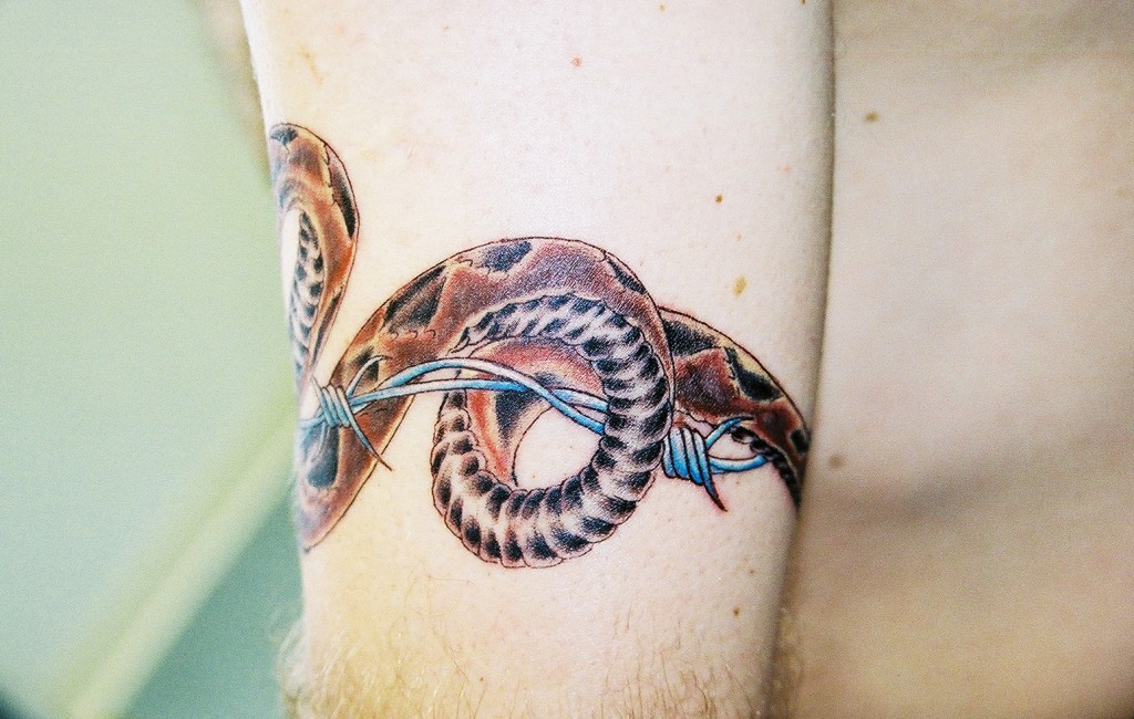 Snake Arm Wrap 2, Lions Lair Tattoo, LLC ?Çô A tattoo studio focused. helpf...