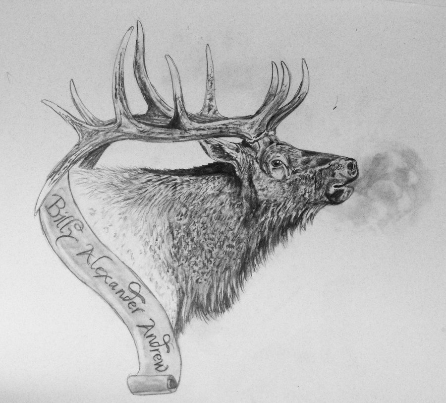 Top Elk Antler Outline Images for Pinterest Tattoos. 